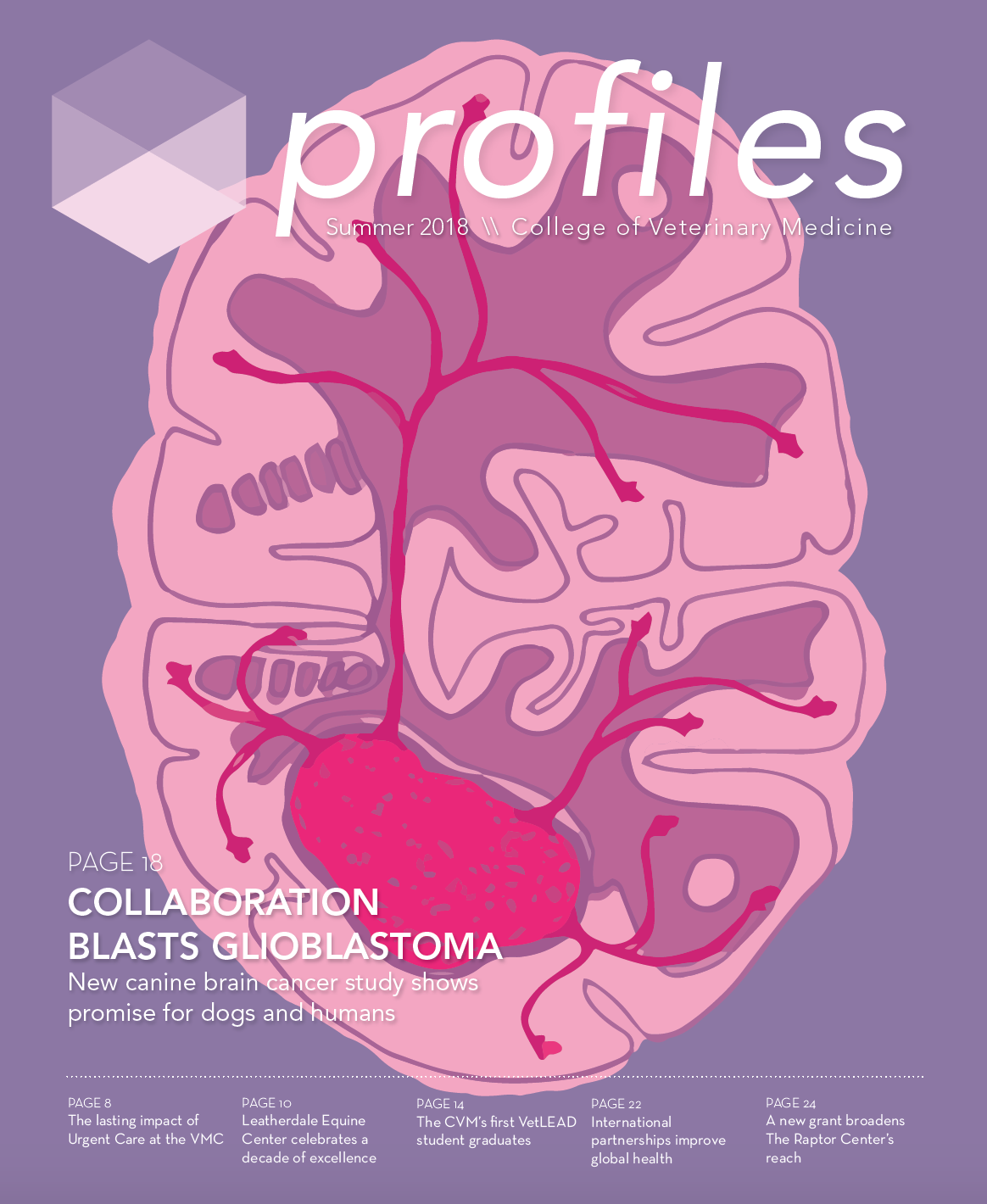 Profiles Summer 2018 cover, dog brain with glioblastoma illustration