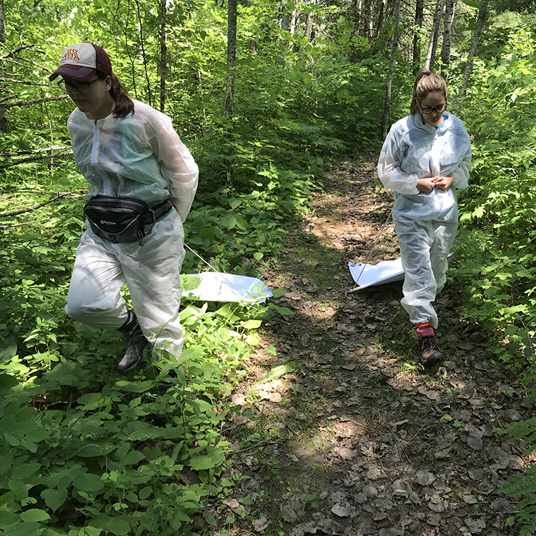 Students collecting samples in the woods