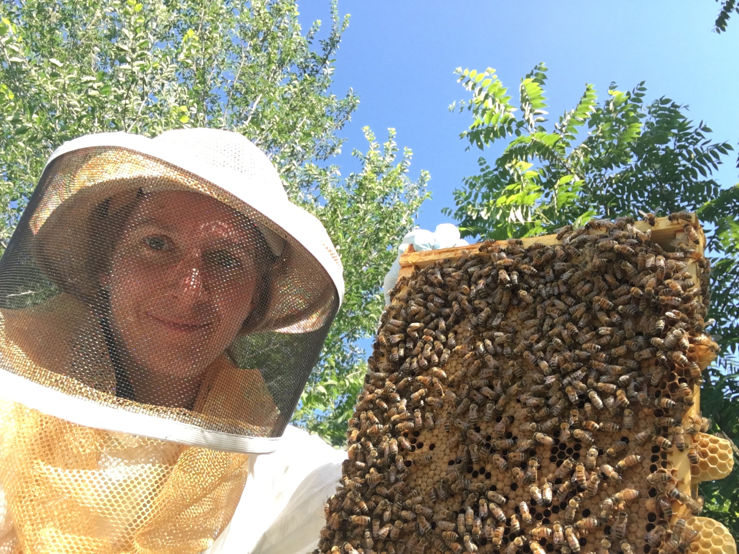 Eva Reinicke with some of her bees 