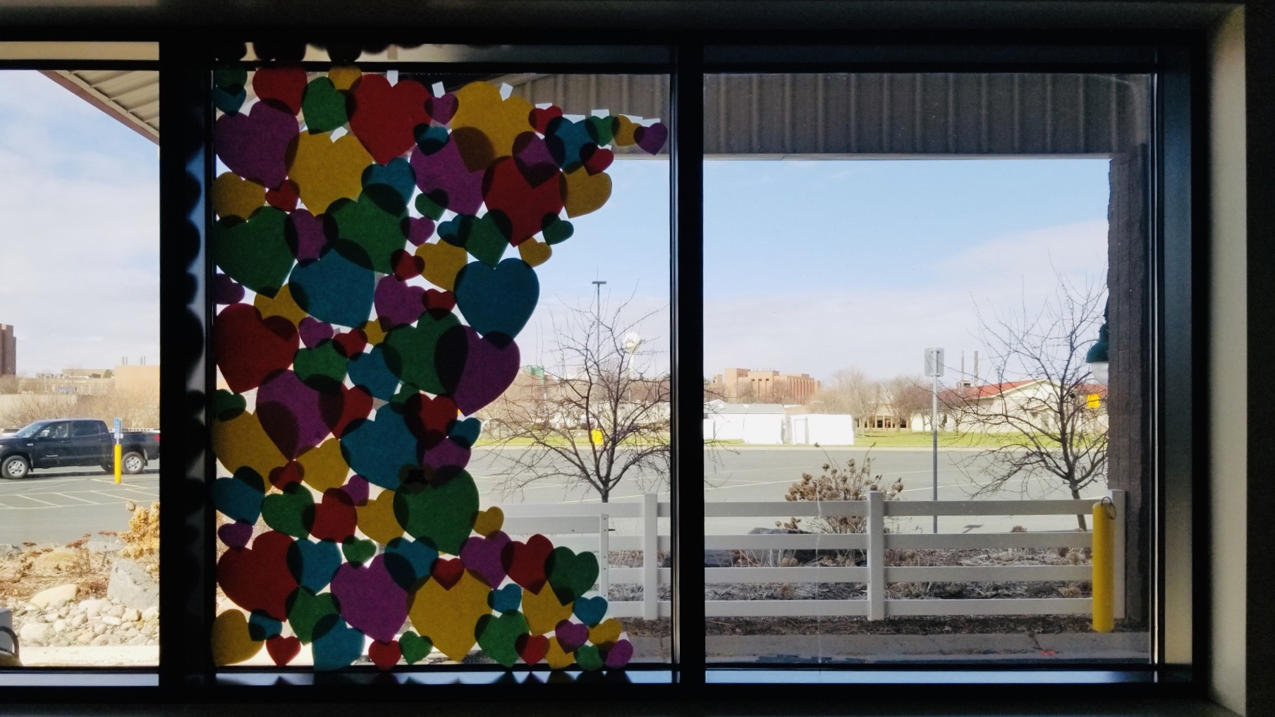 The window at Piper Equine Hospital during COVID-19
