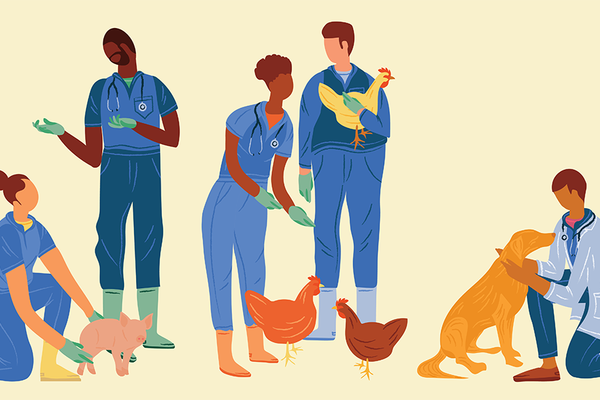 Illustration of vet students with animals 