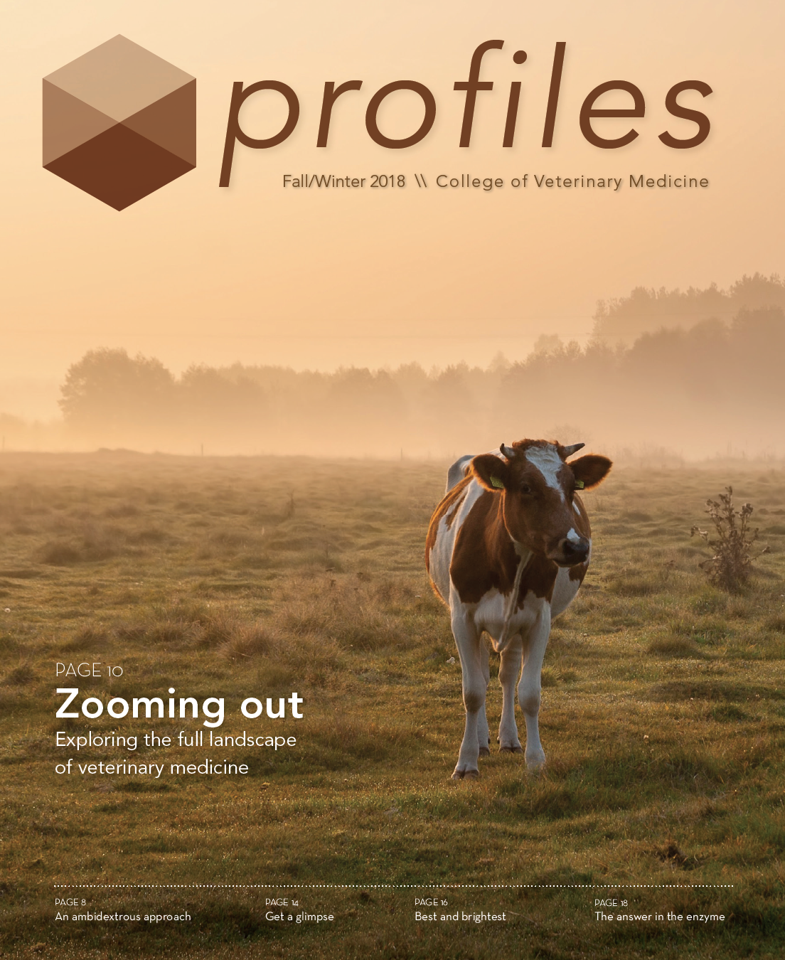 Profiles Fall 2018 cover, cow in a field