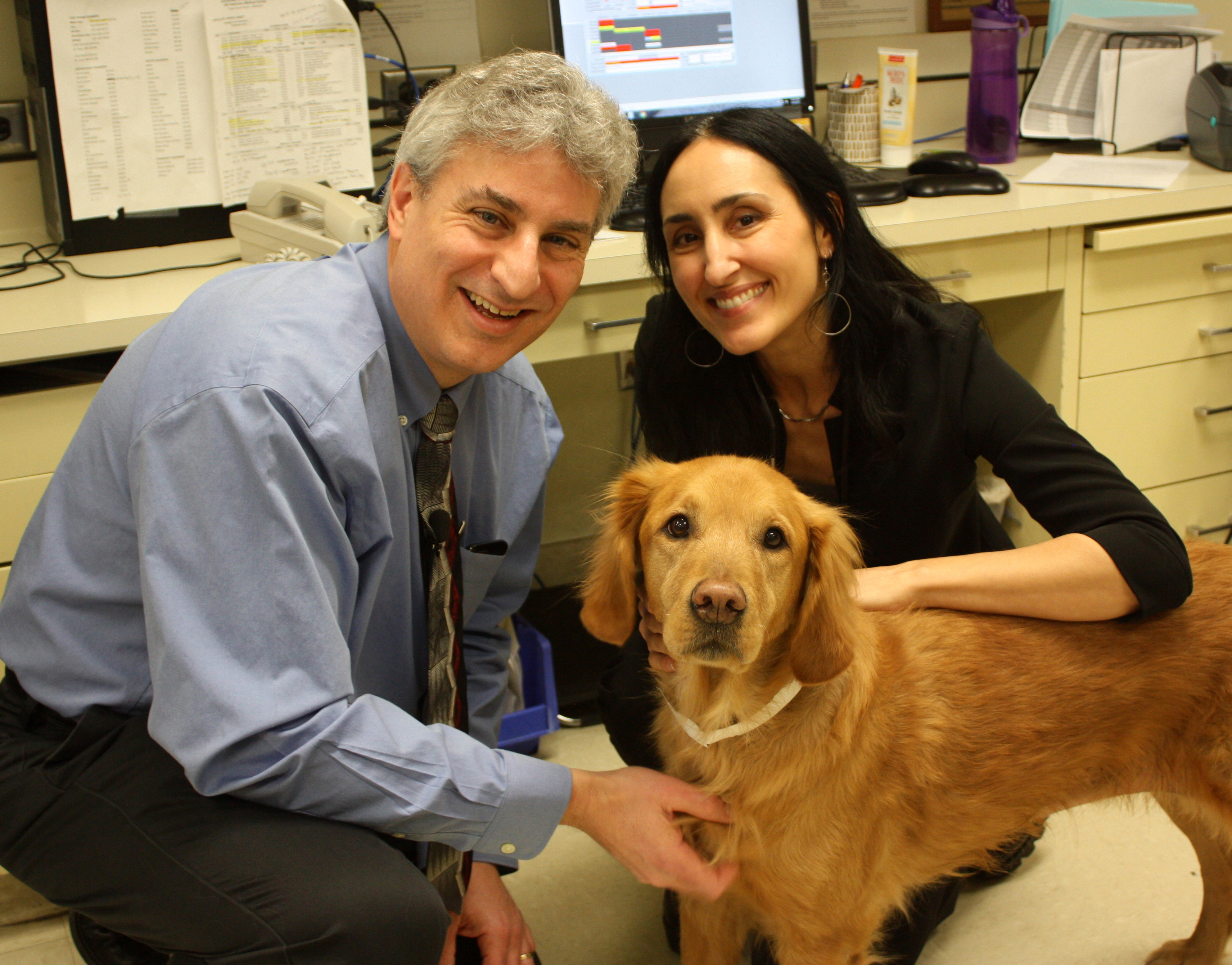 Veterinarians with canine patient