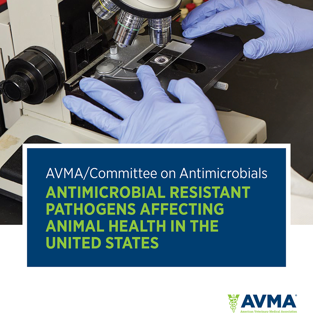 Cover of the AVMA report