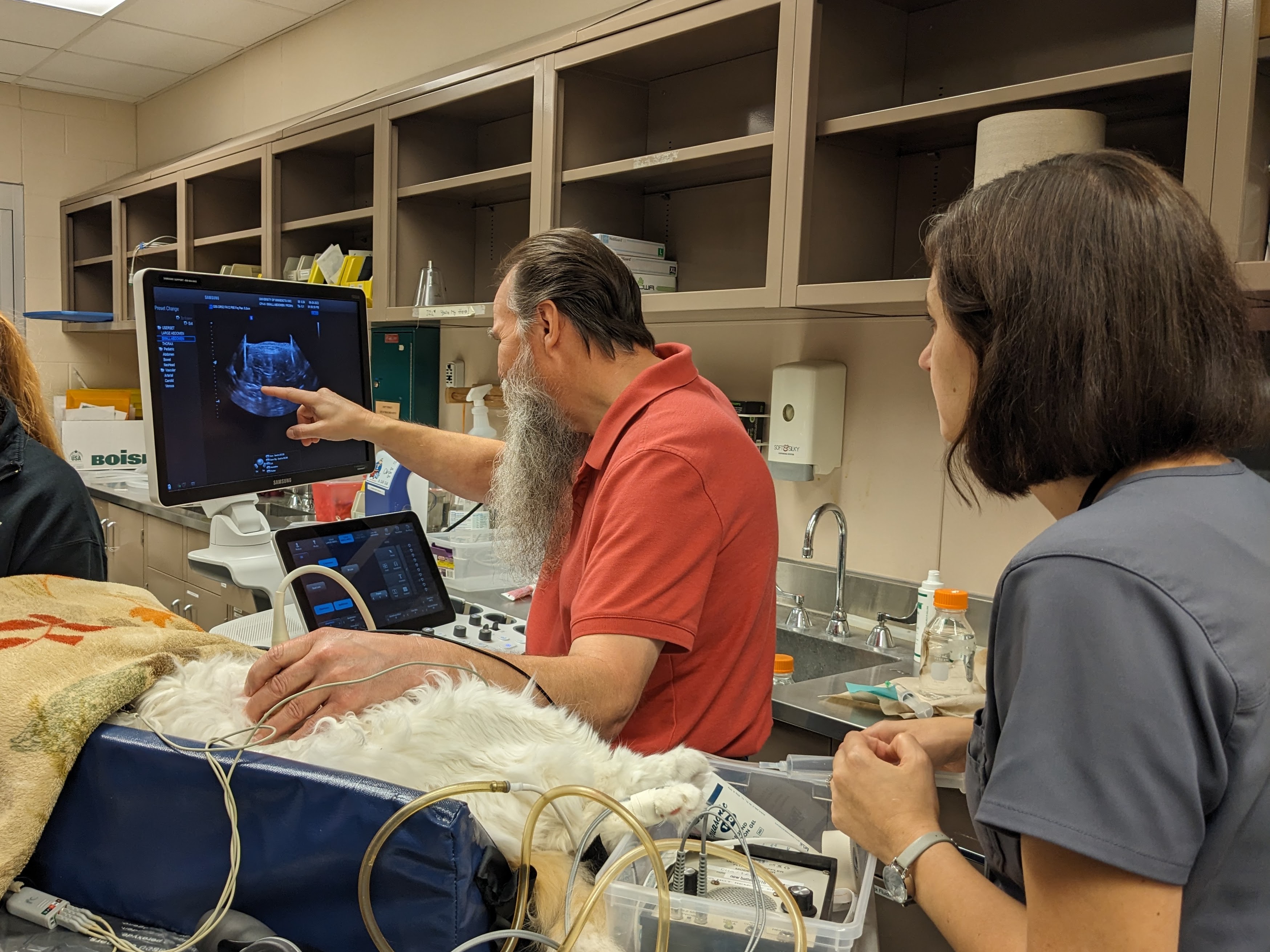 Veterinary Medical Center ultrasound technician Dick Hermes (left) locates a urinary stone inside a cat participating in the burst-wave lithotripsy clinical trial while Dr. Eva Furrow observes. 