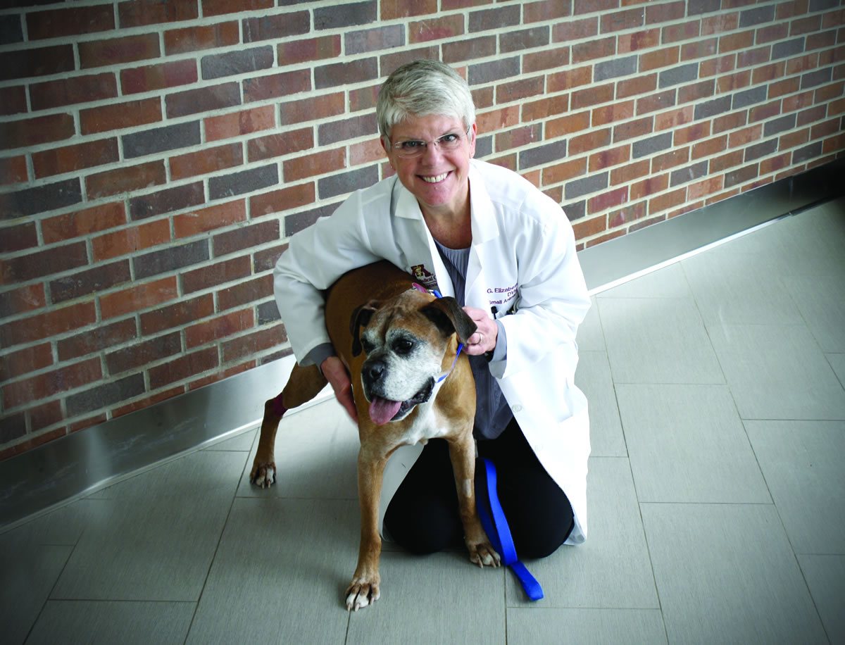 G. Elizabeth Pluhar, DVM, PhD, DACVS posing with a senior dog