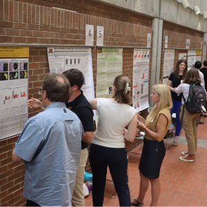 Poster presentations line a common area