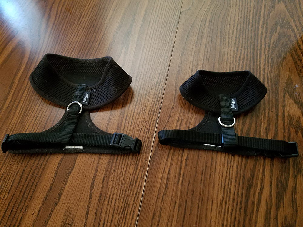 Sasha's harnesses before and after her diet program