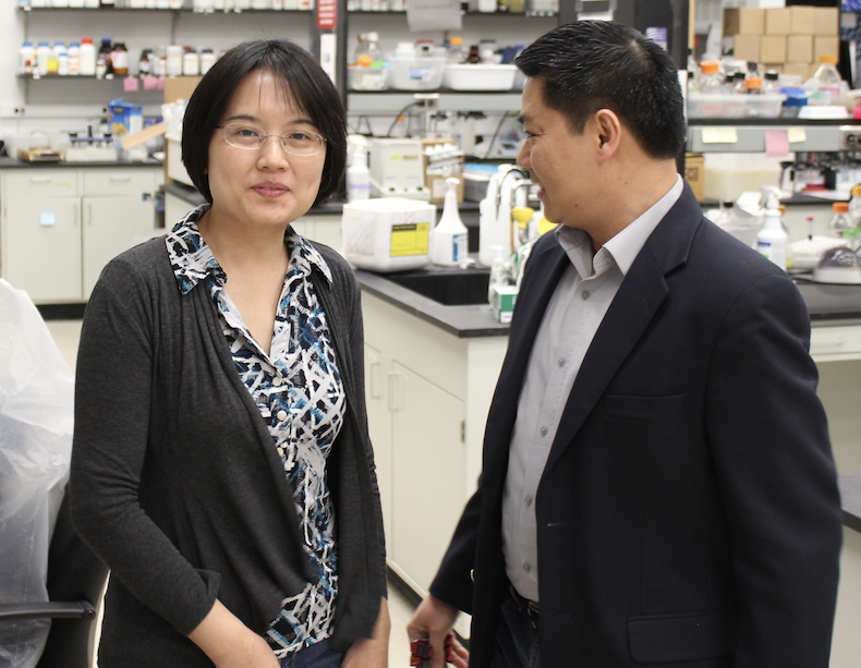 Hinh Ly smiles at his wife, Yuying Liang, in their lab.