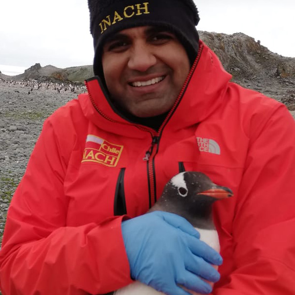 Sunil Kumar Mor with a penguin
