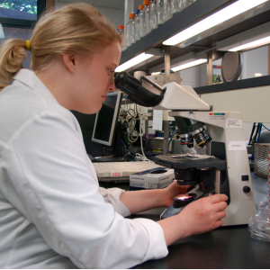 A scientist examines a sample slide under a microscope.