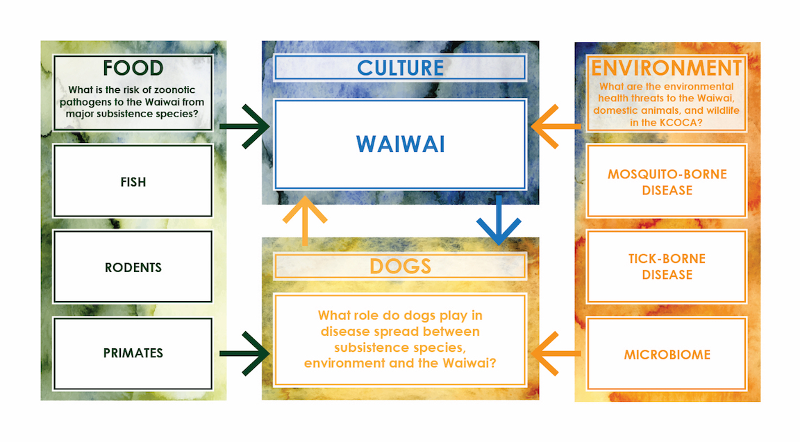 The Waiwai's food system, as charted out by Milstein