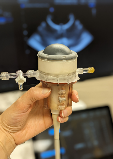 The BWL therapy transducer, which delivers sound waves to break up urinary stones. It is assembled around a transducer used in ultrasound imaging. 