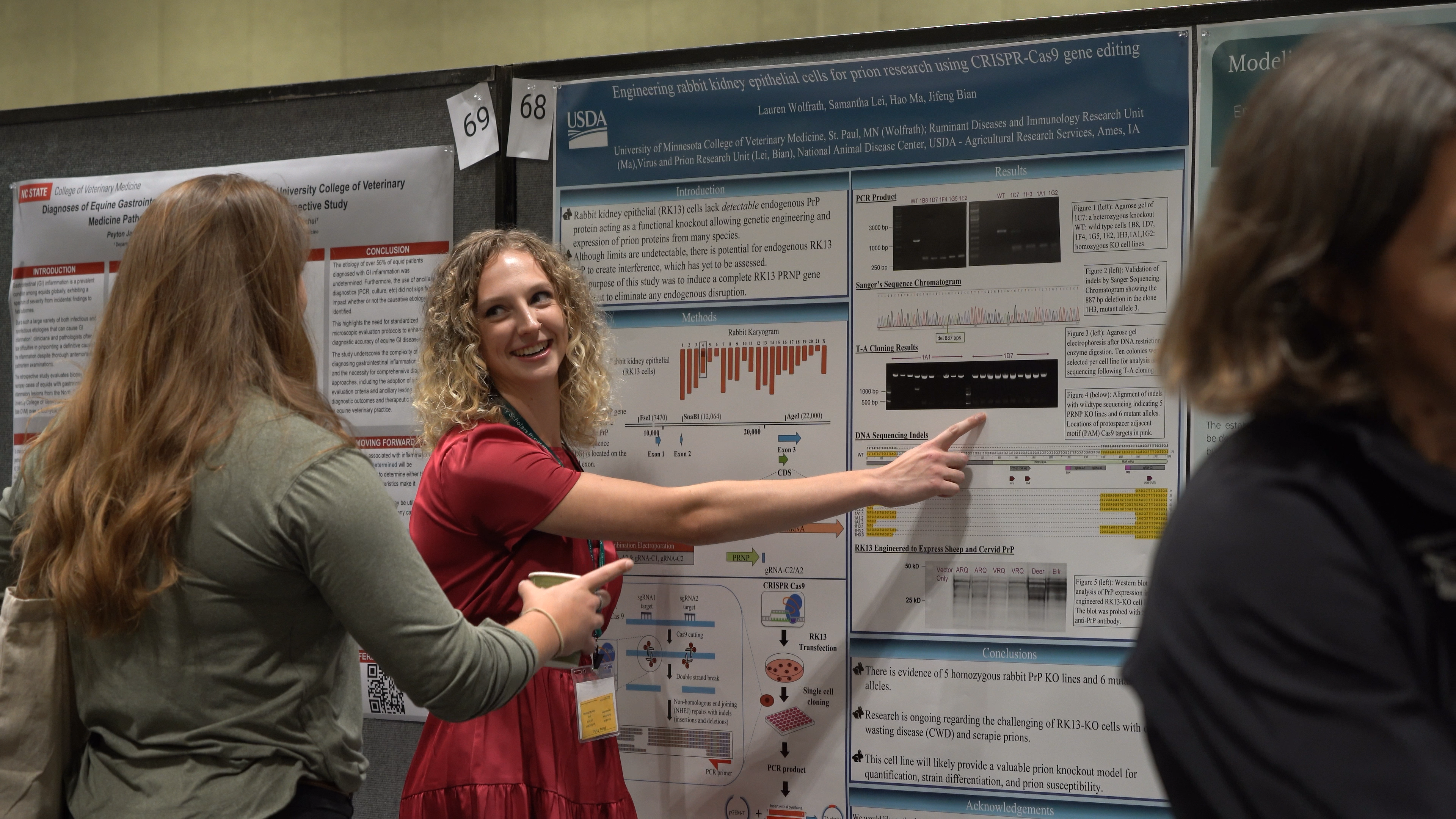 Second-year veterinary student Lauren Wolfrath explains her research into using engineered cells to further the study of prion diseases, a type of neurodegenerative diseases that affect both humans and animals. 