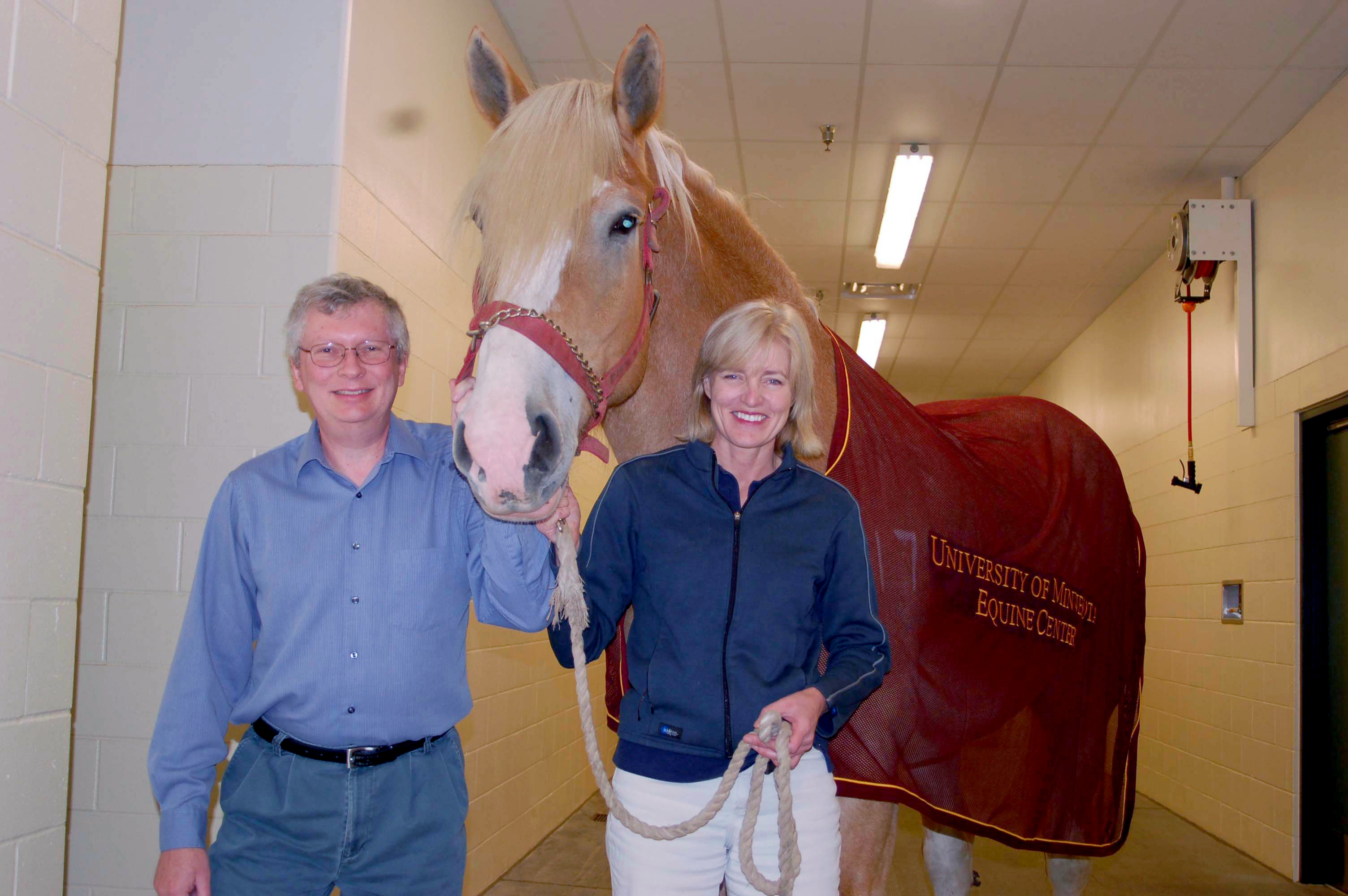 Drs. James Mickelson (left) and Stephanie Valberg hold the lead of Hercules, a longtime equine blood donor and public ambassador. 