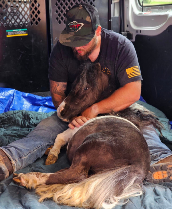 Coco's Heart transports Richard to Piper Equine Hospital in a cargo van. 