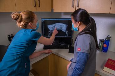 Veterinarian Kelly Gehlhaus (left) examines an X-ray film with student Patrice Sorenson.