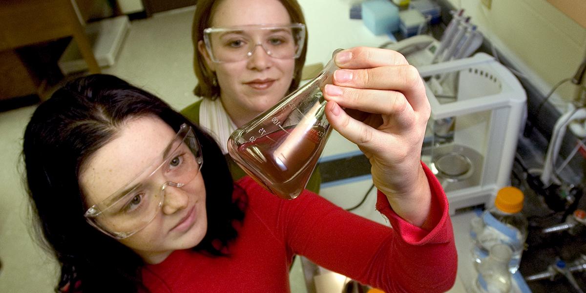 Two researchers examining a sample