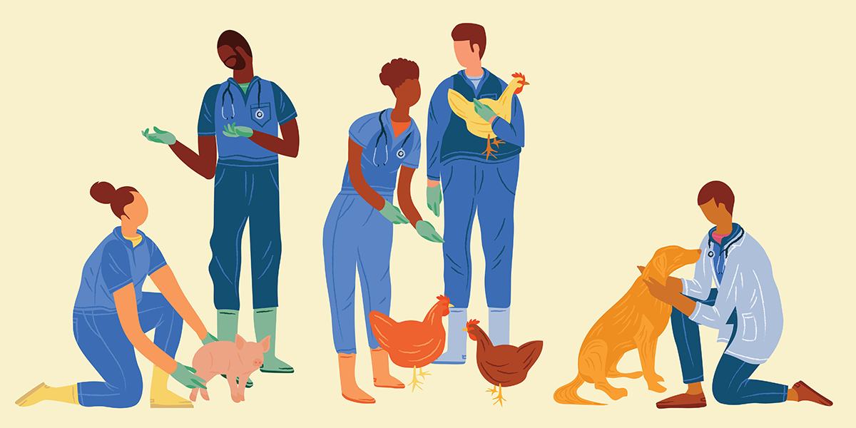 Illustration of vet students with animals 