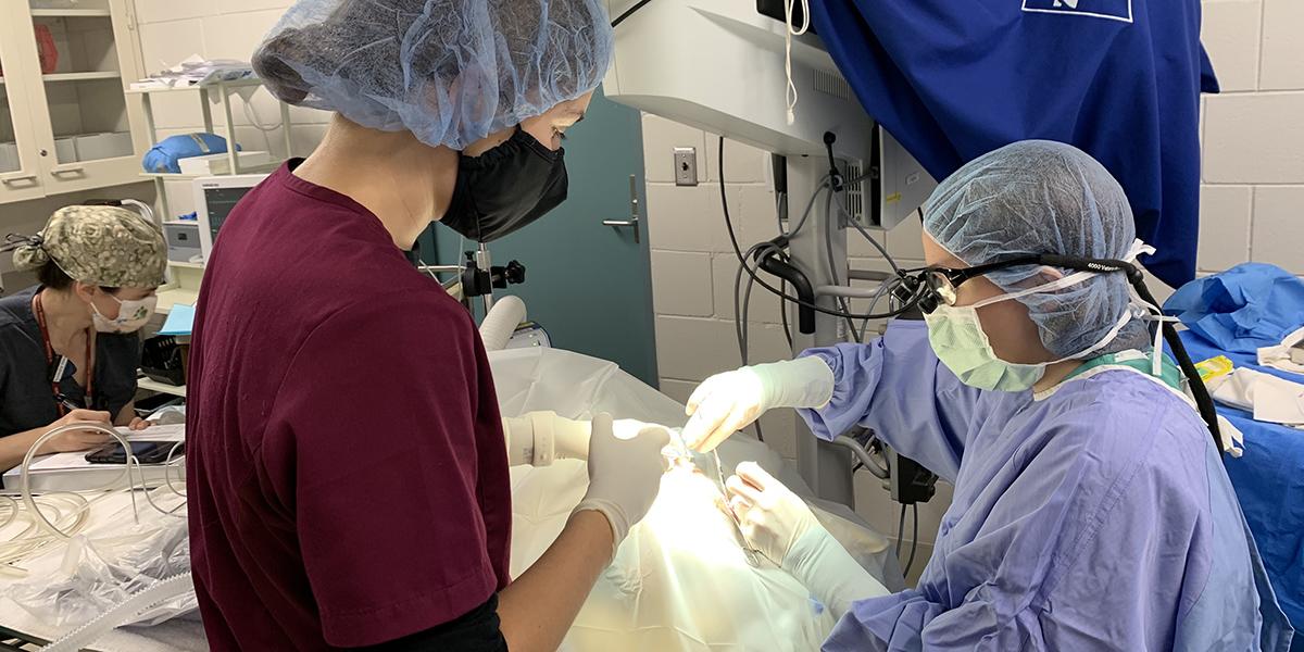 Natalya Mahan collaborating in surgery