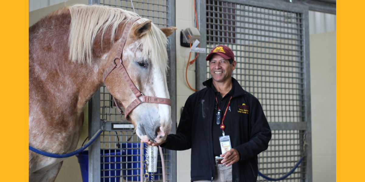Sergio Gonzales stands with Hercules the horse