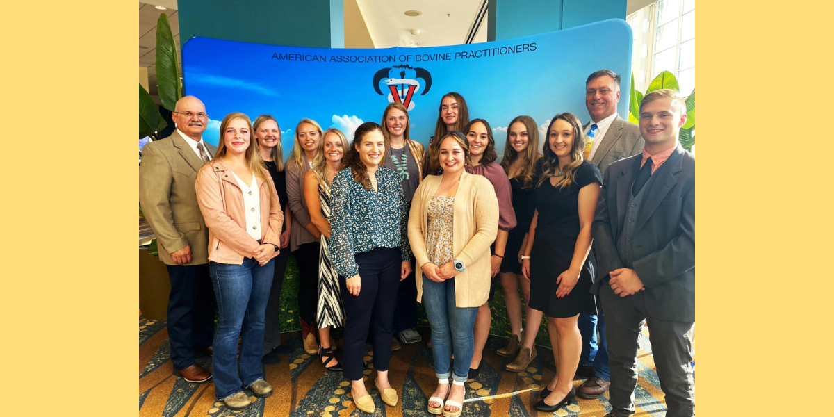 American Association of Bovine Practitioners (AABP) Bovine 2022 Veterinary Student Recognition Award winners