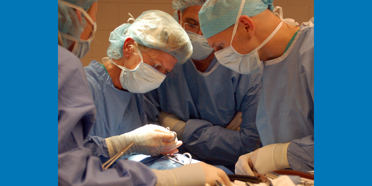 Dr. Liz Pluhar performs surgery.