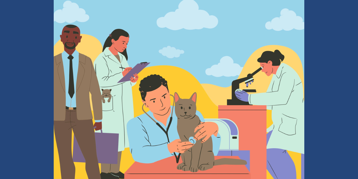 Cartoon vet examines cat