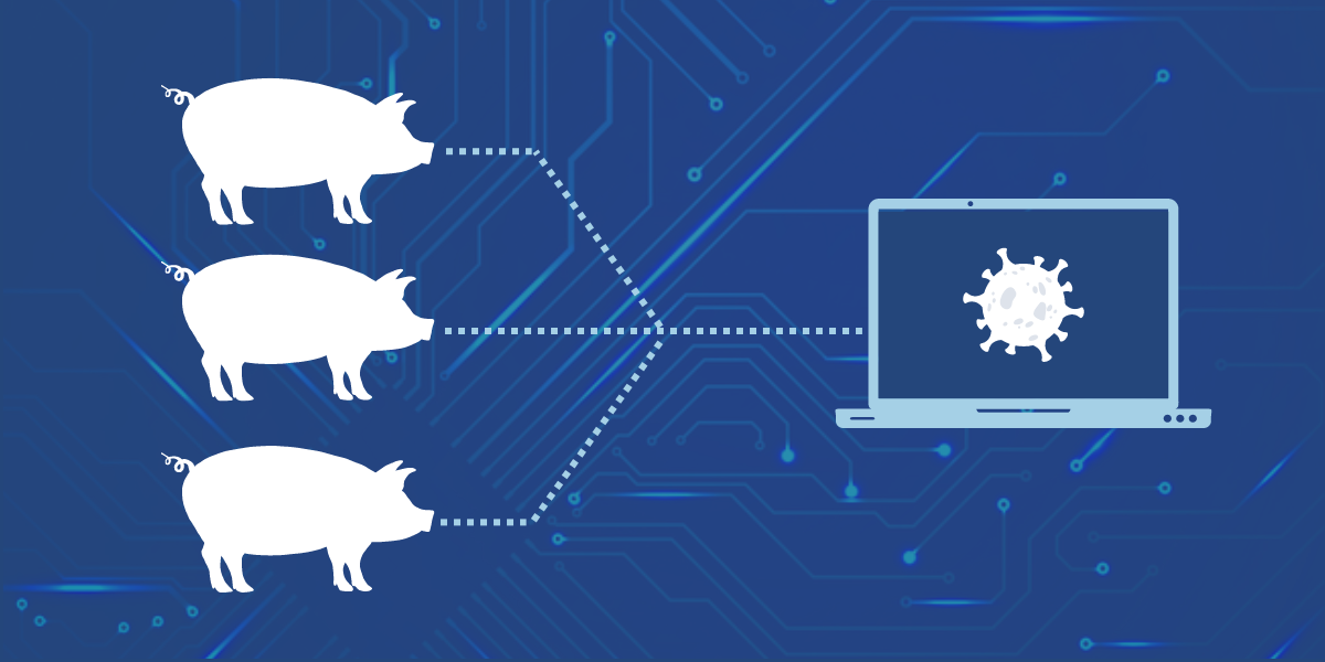Pig and computer silhouettes on a blue background
