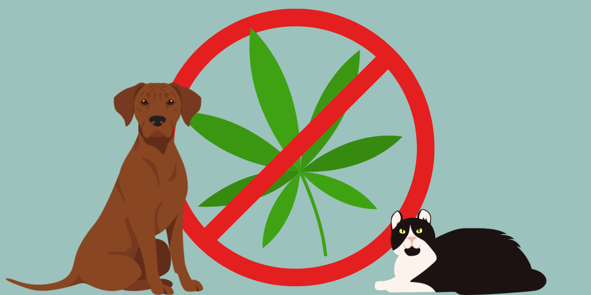 Dog and cat with crossed out pot leaf