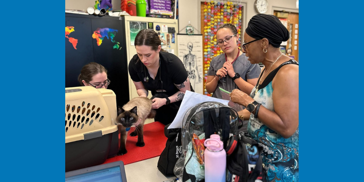Cathy, a community leader and activist (right), speaks with VeTouch students and staff about her cat’s recent appetite changes.