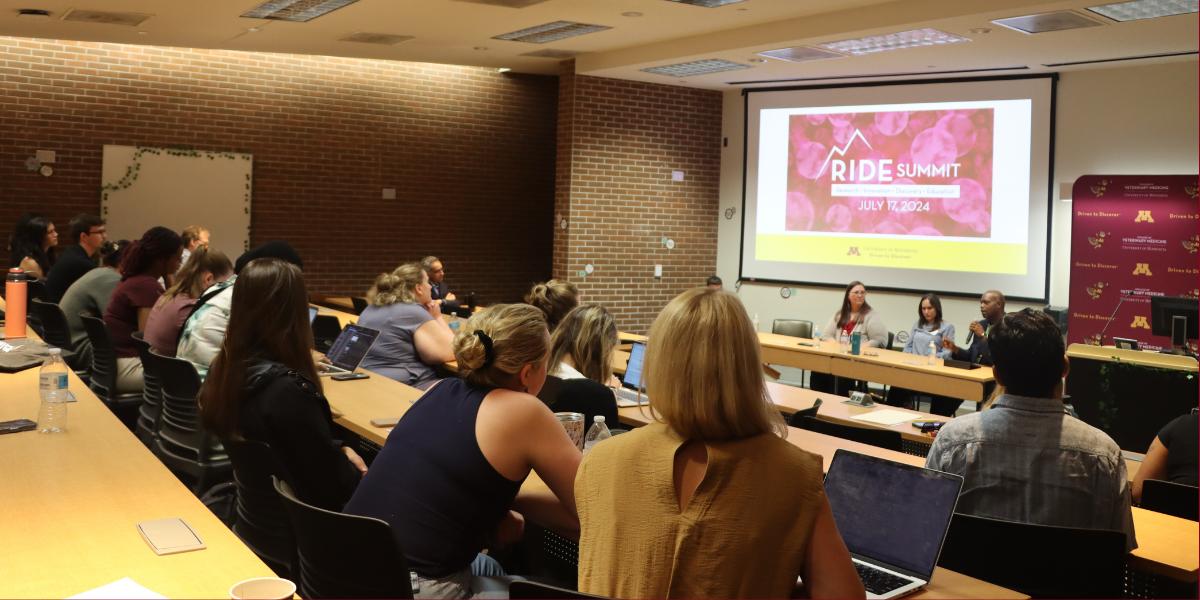 Attendees of the RIDE Summit listen to a panel on diversity, equity, and inclusion. and inclusion in research