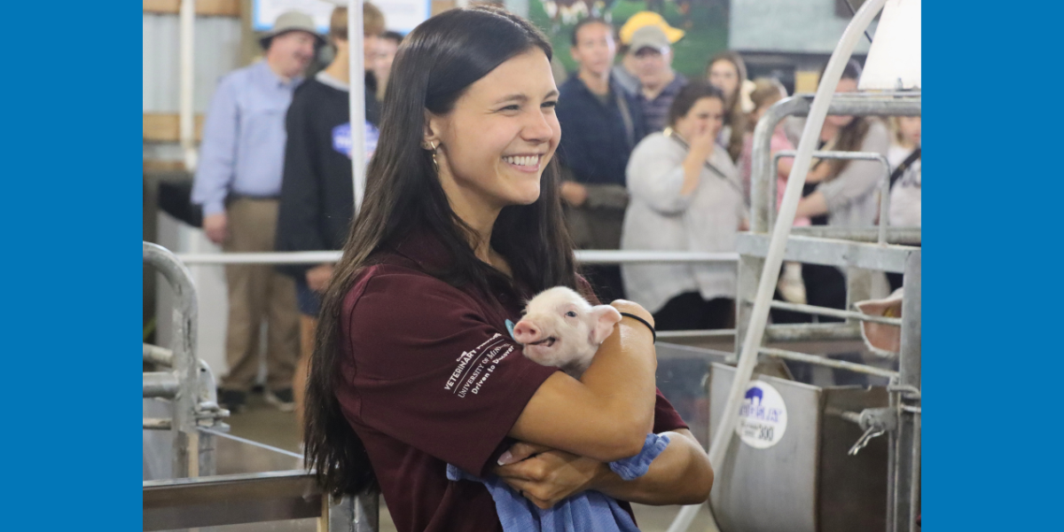 Vet student Jordan Cummings holds a piglet