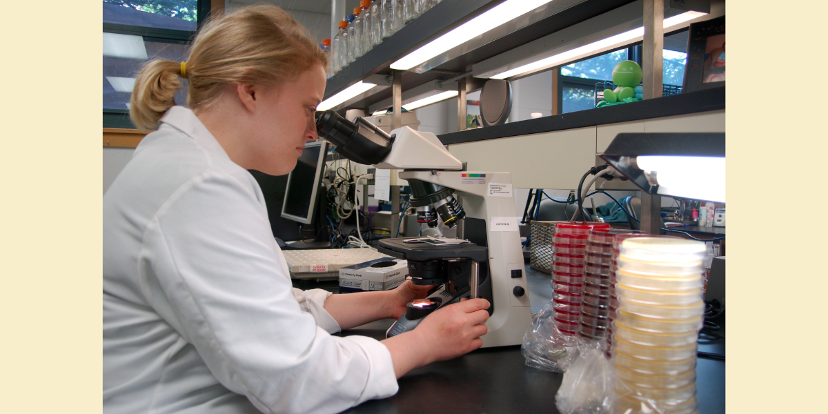 A scientist examines a sample slide under a microscope.