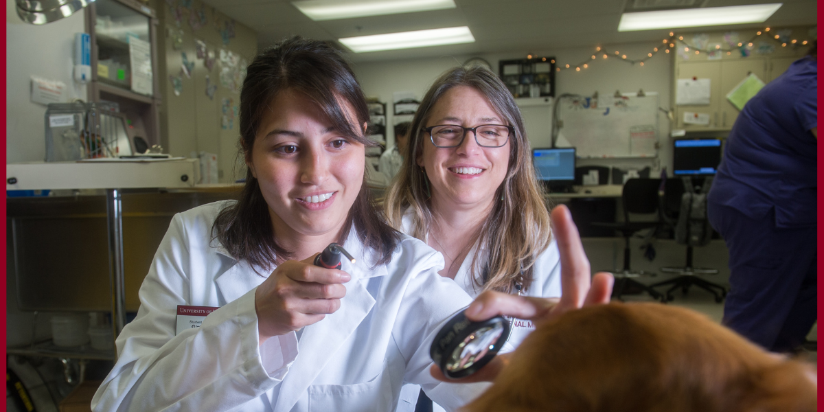 Dr. Jennifer Granick (right) guides then-DVM student Gigi Gutierrez through a physical exam on a canine patient. 