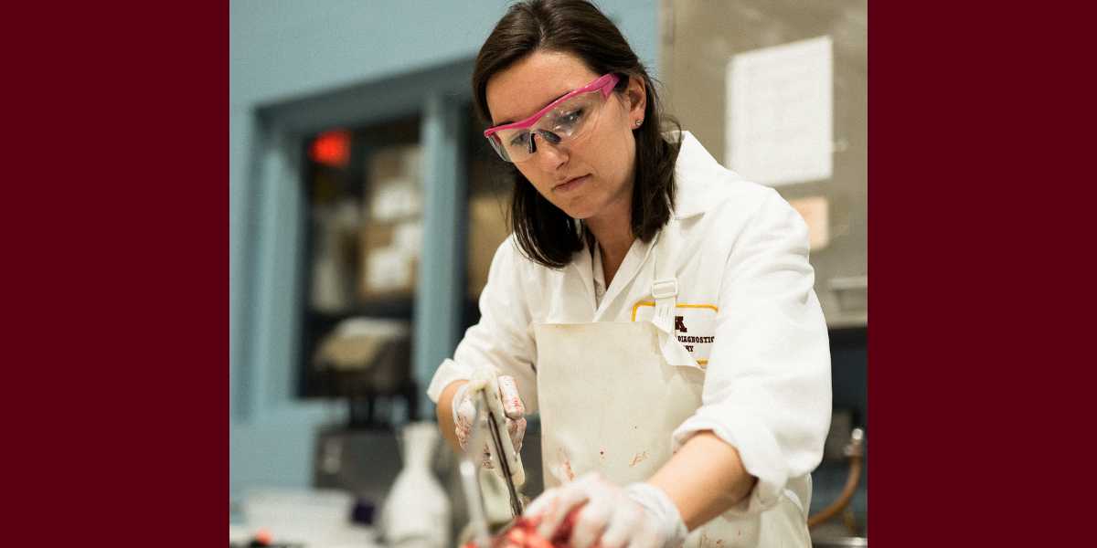 Dr. Alexandra Armstrong cuts an animal skull with a saw during a necropsy. 