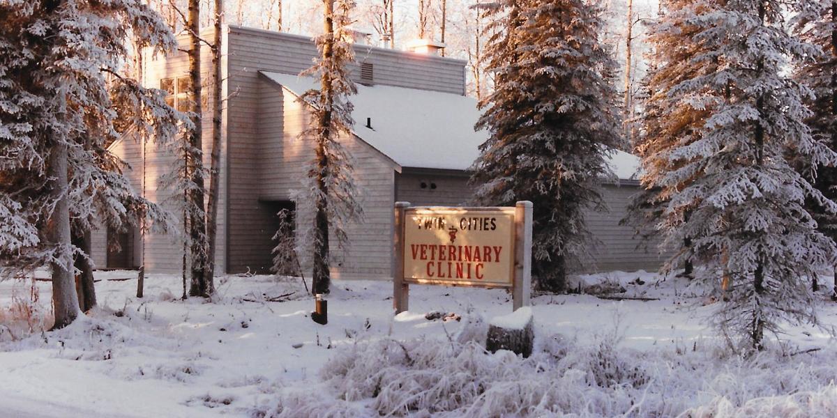 A photo of Twin Cities Veterinary Clinic in 1984. The building is surrounded by pine trees and covered in snow. The sign out front says, "Twin Cities Veterinary Clinic."