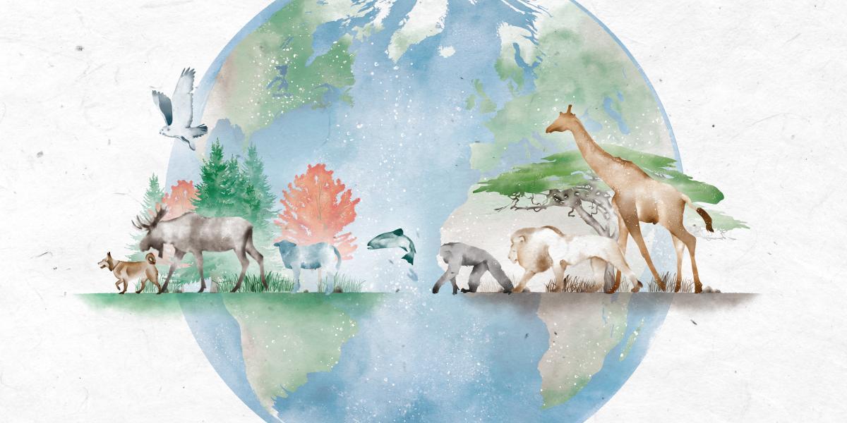 Animals and a globe illustration