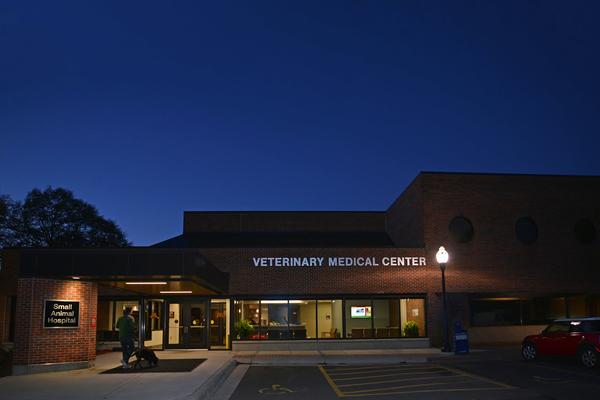 Veterinary Medical Center at night.