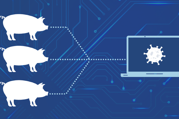 Pig and computer silhouettes on a blue background