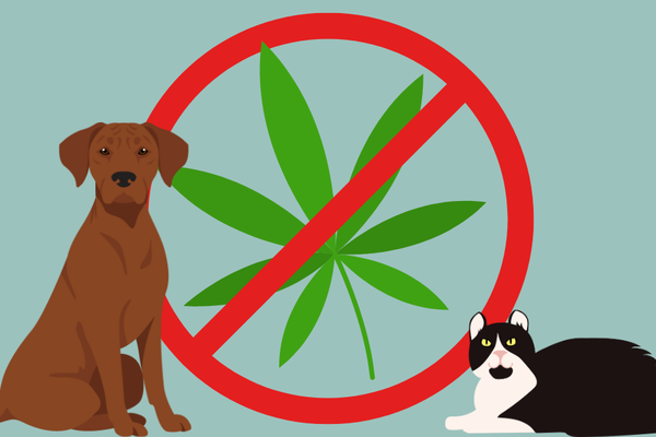 Dog and cat with crossed out pot leaf