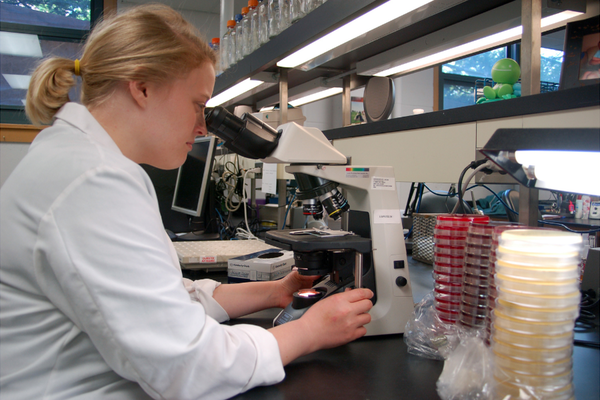 A scientist examines a sample slide under a microscope.