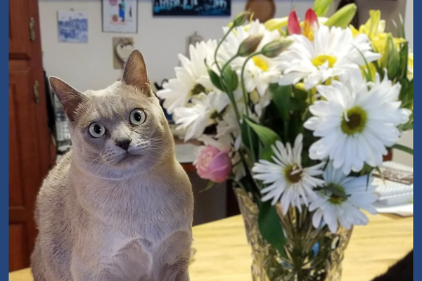 Charlie sits next to a bouquet of flowers.