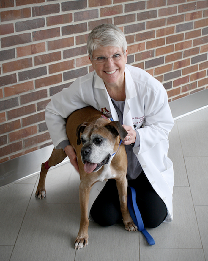 G. Elizabeth Pluhar and one of her patients, Hedley the boxer