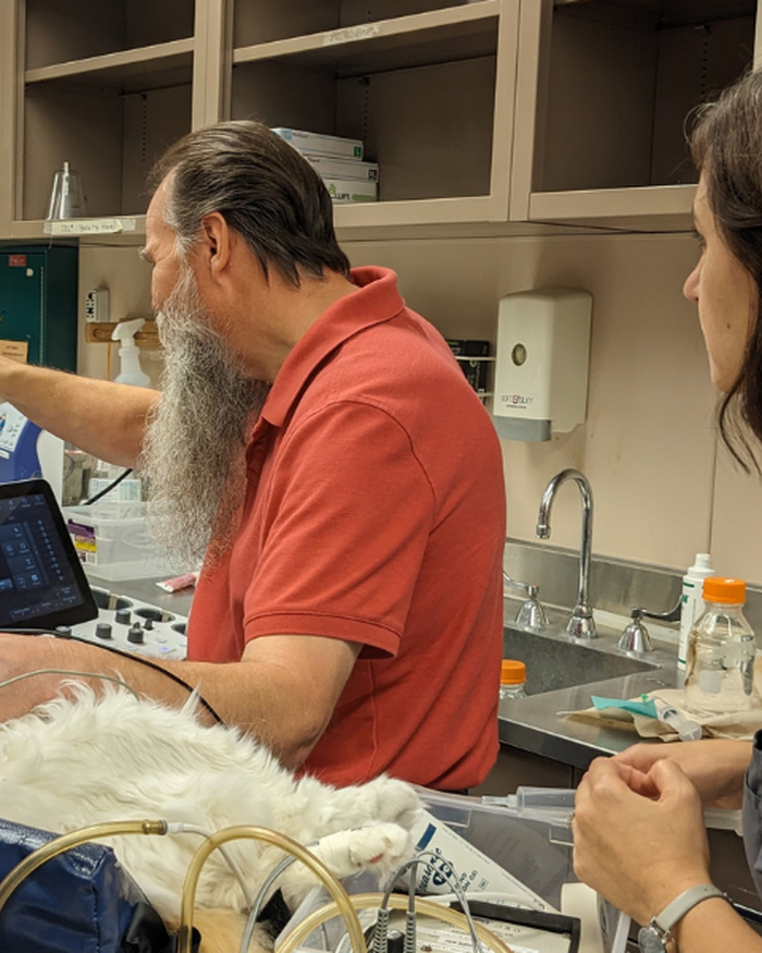 Ultrasound technician Dick Hermes locates a urinary stone inside a cat participating in the burst-wave lithotripsy clinical trial.