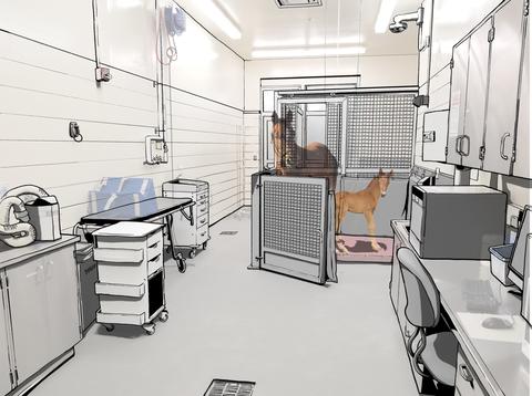 foaling unit space graphic