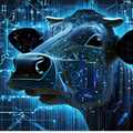 Cow with tech overlay