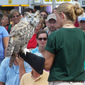 TRC staff holds an owl