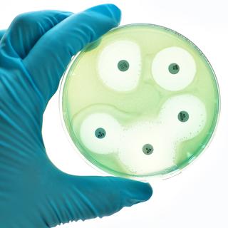 Microbiome petri dish