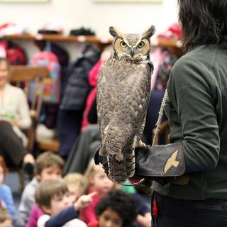 An education bird in a classroom